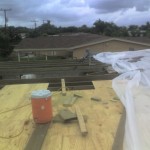 New roof plywood and trusses